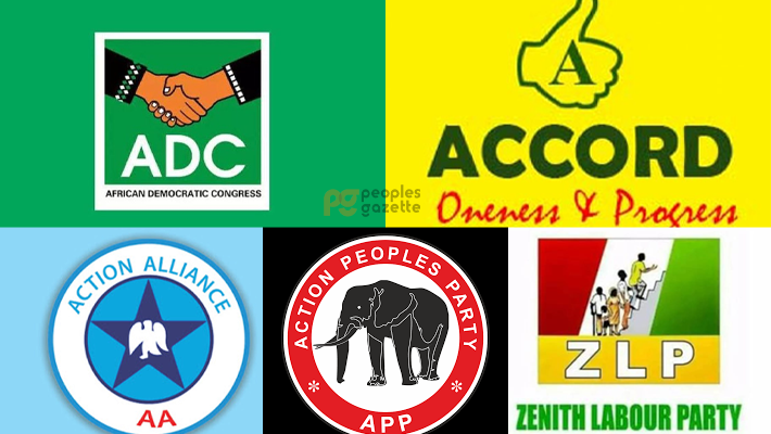 Confusion as Court disqualifies some parties by Tony Ademiluyi